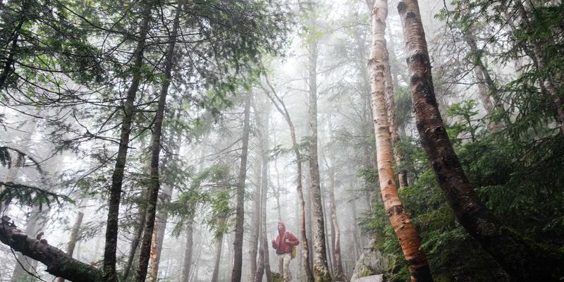 HG7456与未来网络技术趋势:深度解析与前瞻分享