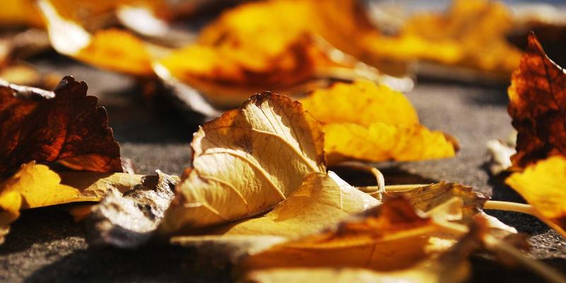 HG7456视角：网络切片技术在5G专网中的架构革新与安全挑战