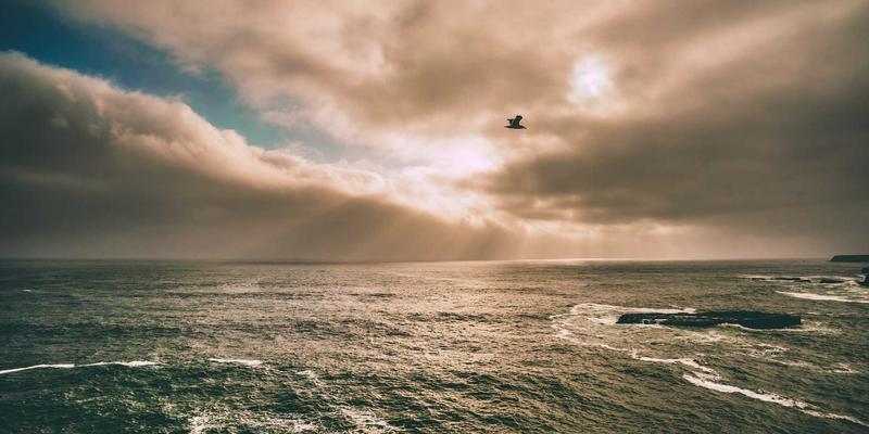 Network Technology 45:驱动未来的连接、共享与安全新范式