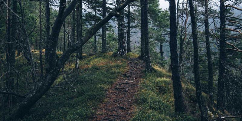 Network Technology 75：从HG7456实践看企业网络安全与技术创新分享