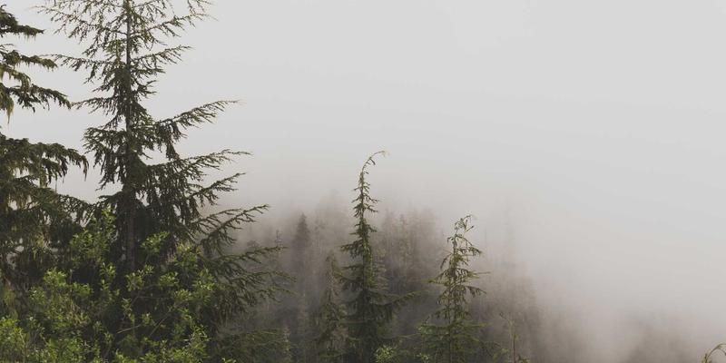 Network Technology 89与HG7456:构建下一代网络安全架构的核心力量