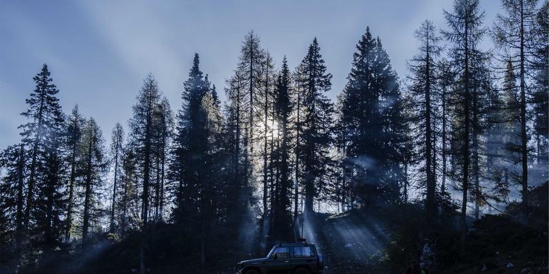 Network Technology 98：构建现代数字基石的网络技术与安全实践