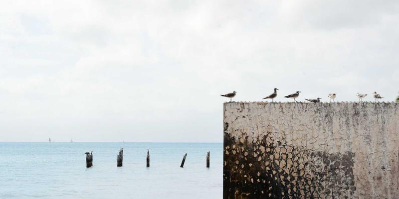 Tech Sharing: 深度解析网络功能虚拟化(NFV)如何驱动电信云转型与IT资源革命