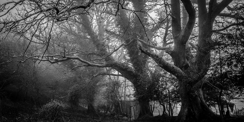 开放网络与白盒交换机：解耦硬件软件，如何重塑数据中心网络架构与网络安全