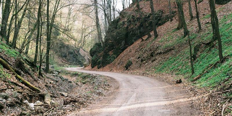 构建未来网络：Wi-Fi 6/6E企业级部署架构、技术与安全全指南