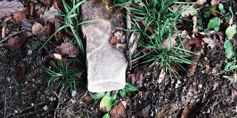 网络功能虚拟化与容器化：揭秘下一代电信核心网架构演进之路