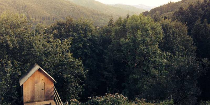 网络即服务(NaaS)商业模式解析：把握企业网络转型机遇，强化Network Security与Tech Sharing