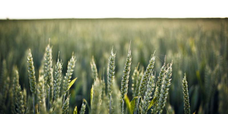 网络技术新纪元：优化IT资源、架构与安全三位一体的战略框架