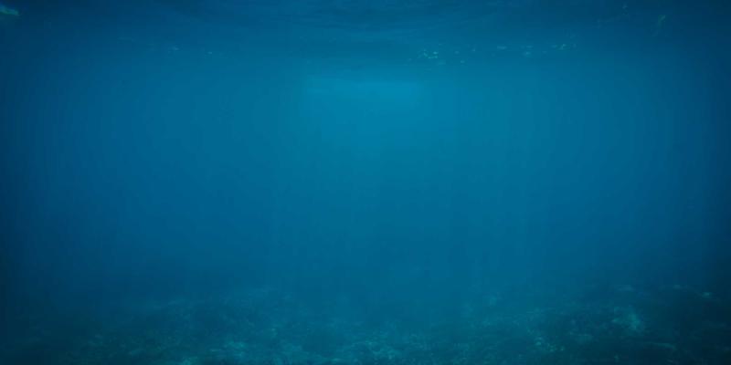 网络技术进阶:从架构优化到IT资源高效管理的战略路径