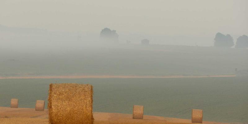 网络架构演进：MPLS与SD-WAN融合如何重塑企业网络技术与安全