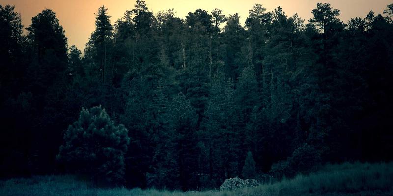 网络架构演进：深度解析SD-WAN与SASE的融合趋势与技术实践