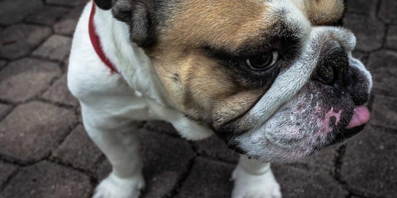 远程办公时代的企业网络防护：零信任网络架构（ZTNA）实施全指南 | Network Security & Tech Sharing